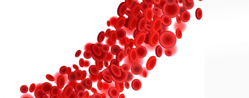 Moderní terapie železem