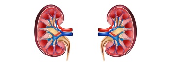 Glifloziny v praxi dnes, a zítra