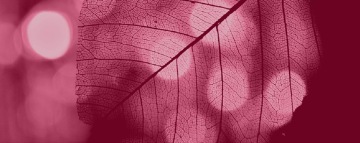 Novinky v oblasti LMWH – Inhixa - 1. biosimilární enoxaparin v ČR